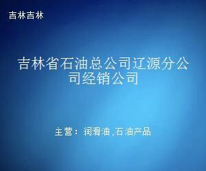 吉林省石油总公司辽源分公司经销公司石油制品业务概览